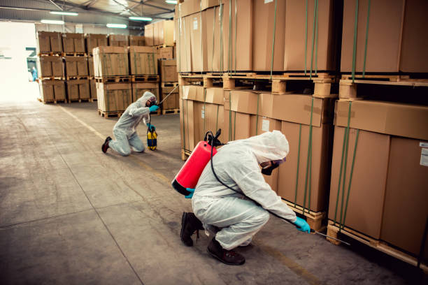 Best Wildlife Control Services  in Dansville, NY