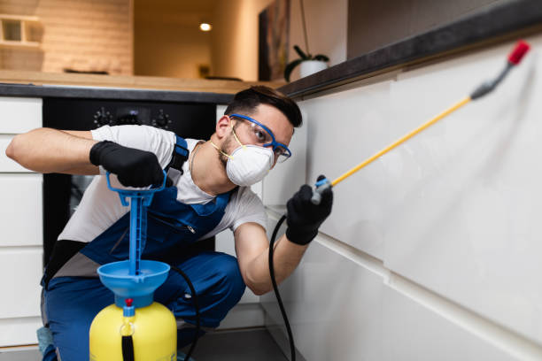 Best Local Pest Control Services  in Dansville, NY