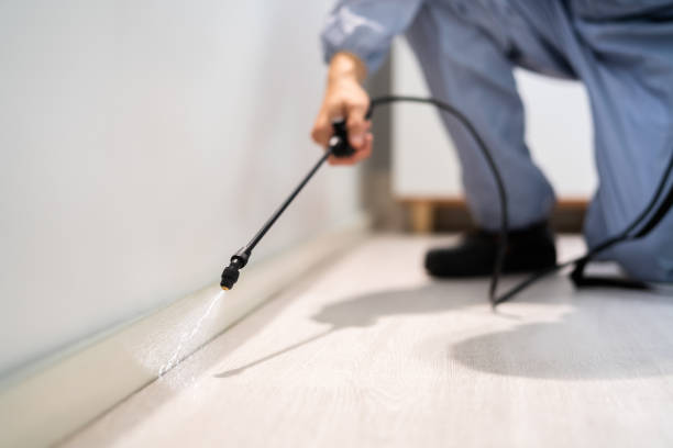 Pest Control Cost in Dansville, NY