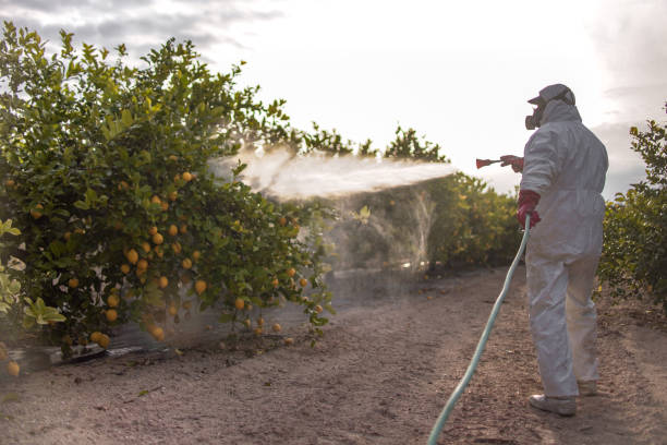 Best Pest Inspection Near Me  in Dansville, NY