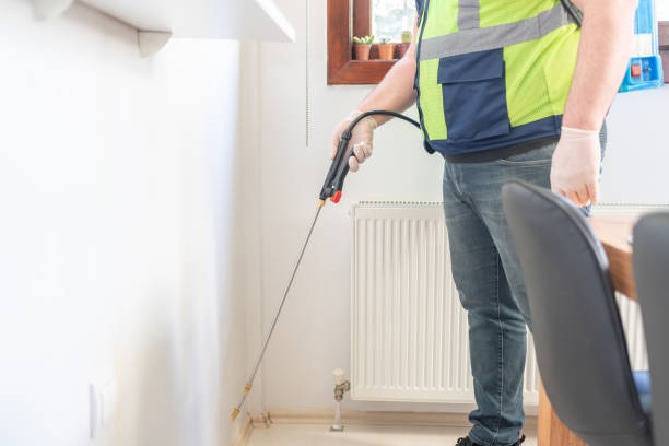 Best Pest Control Near Me  in Dansville, NY