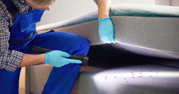 Best Pest Control Cost  in Dansville, NY