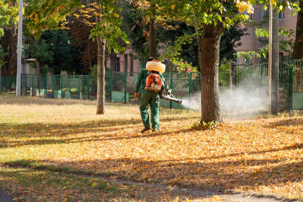 Best Pest Inspection Near Me  in Dansville, NY