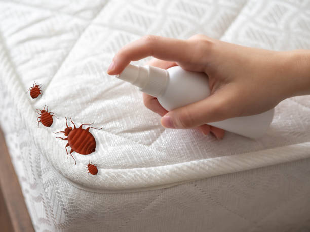 Best Pest Control for Businesses  in Dansville, NY