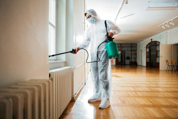 Best Affordable Pest Control Services  in Dansville, NY